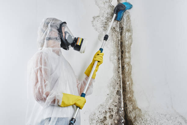 Best Mold Testing  in Menlo Park, CA