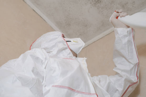 Best Mold Testing  in Menlo Park, CA