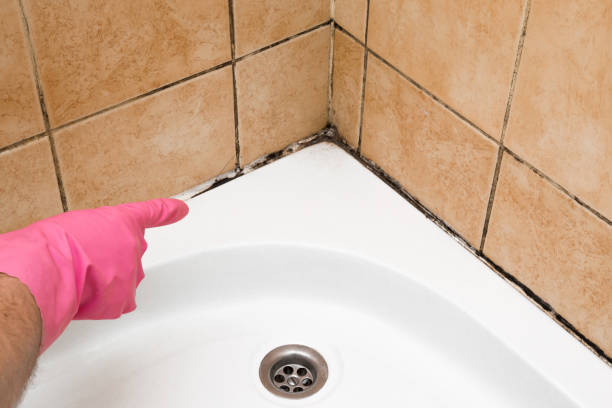 Best Residential Mold Removal  in Menlo Park, CA